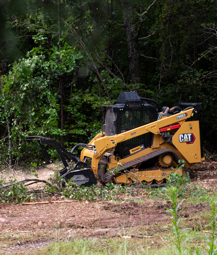 Land Clearing